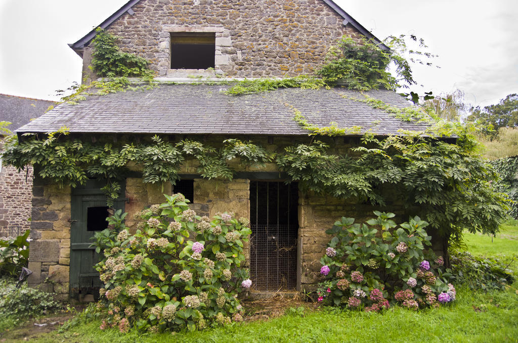 Le Cordon Blanc-Evran Bed & Breakfast ภายนอก รูปภาพ